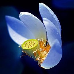 冒险游戏《Grimfield Mystery》Steam页面上线 暂不支持简中